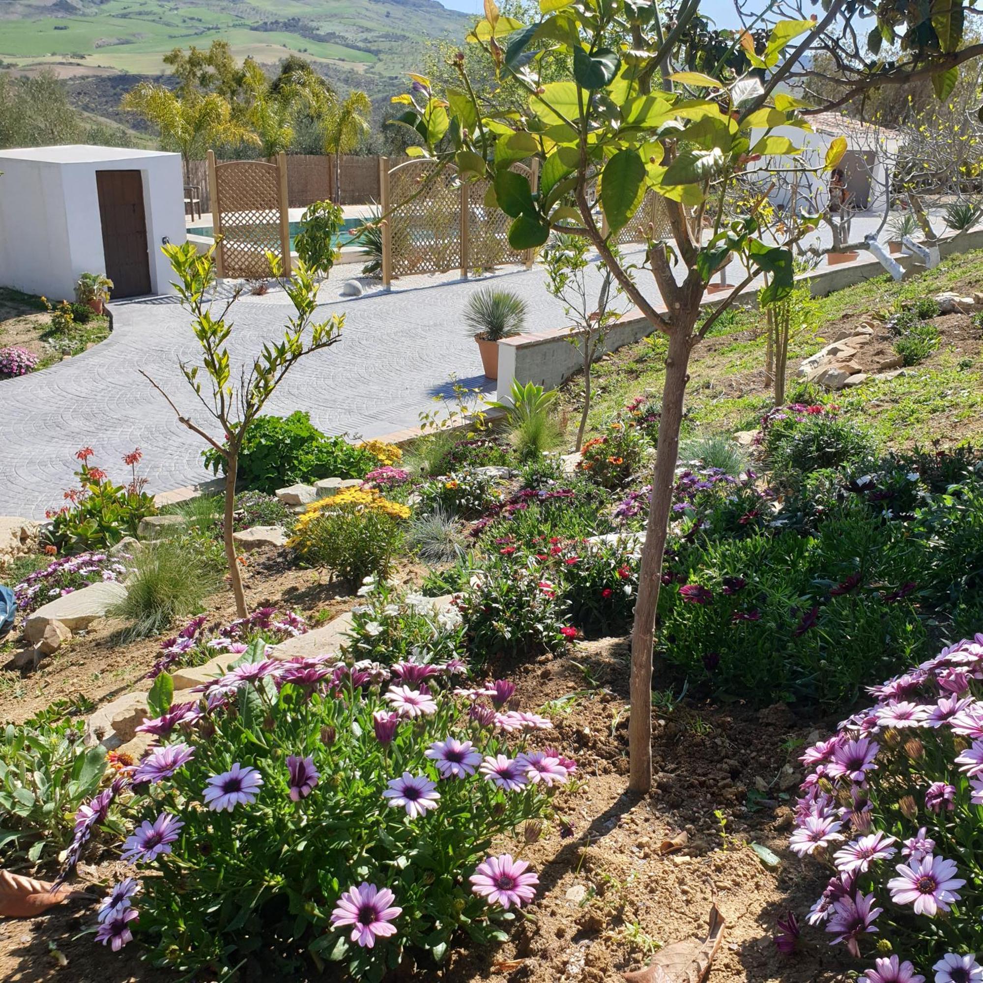 Finca Altozano - Private Pool - Unique Client Valle de Abdalagís Εξωτερικό φωτογραφία