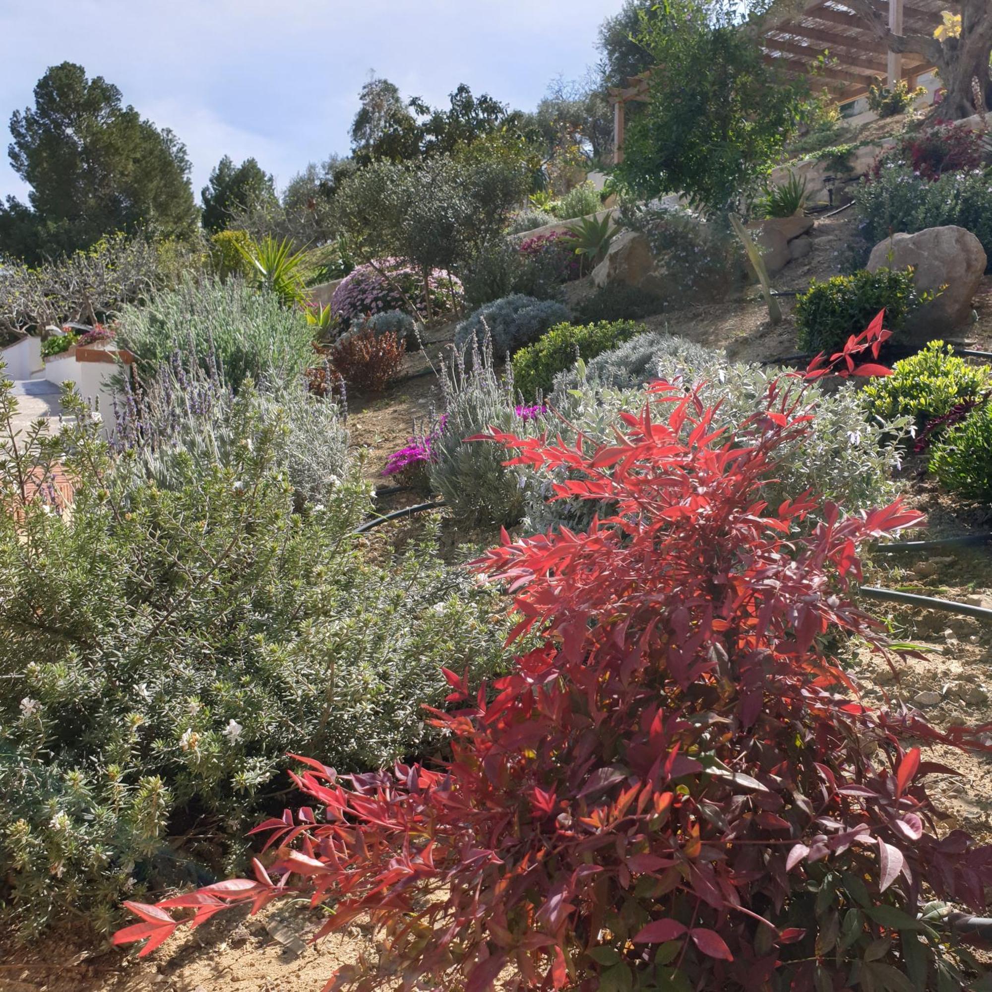 Finca Altozano - Private Pool - Unique Client Valle de Abdalagís Εξωτερικό φωτογραφία