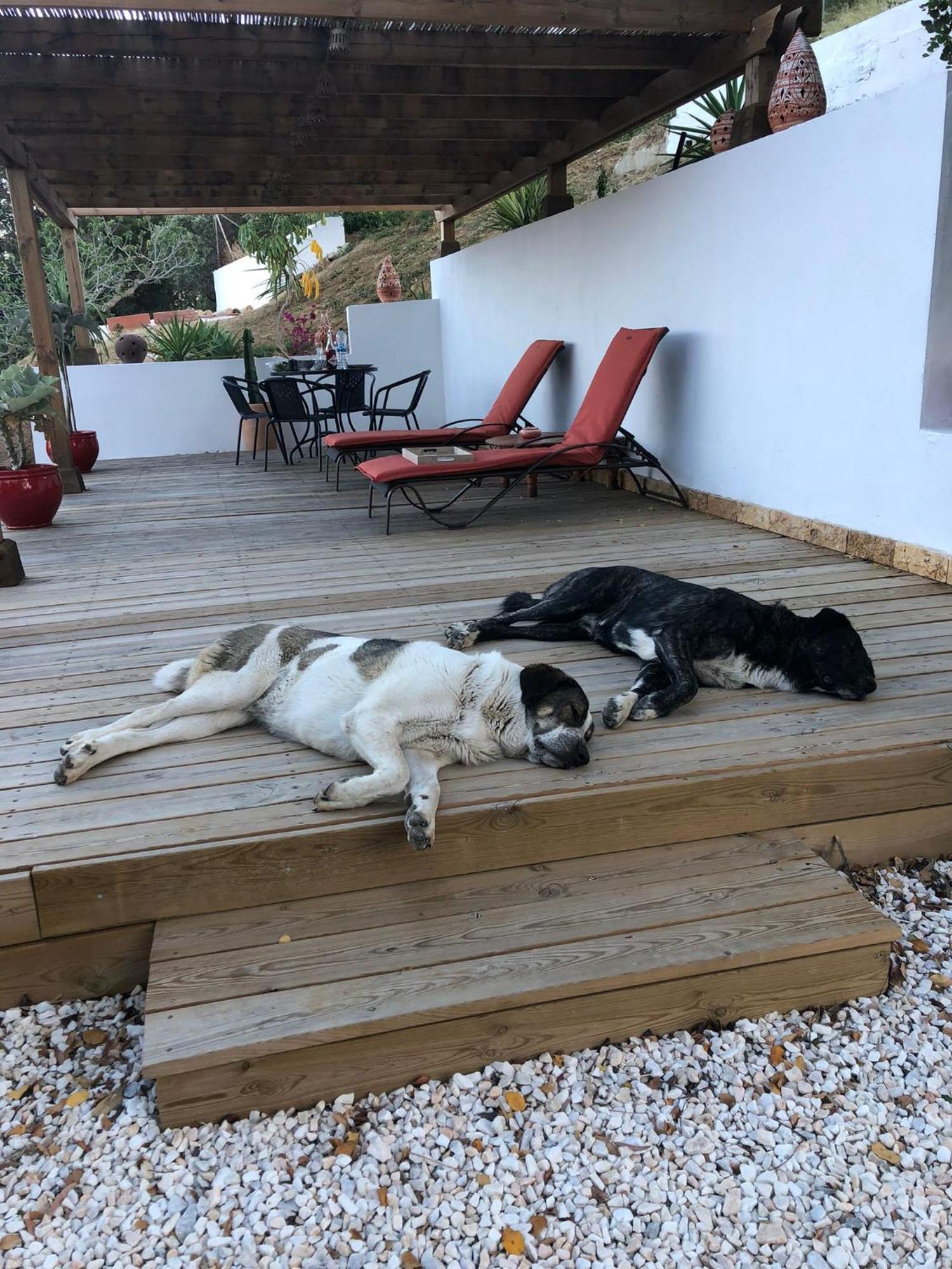 Finca Altozano - Private Pool - Unique Client Valle de Abdalagís Εξωτερικό φωτογραφία