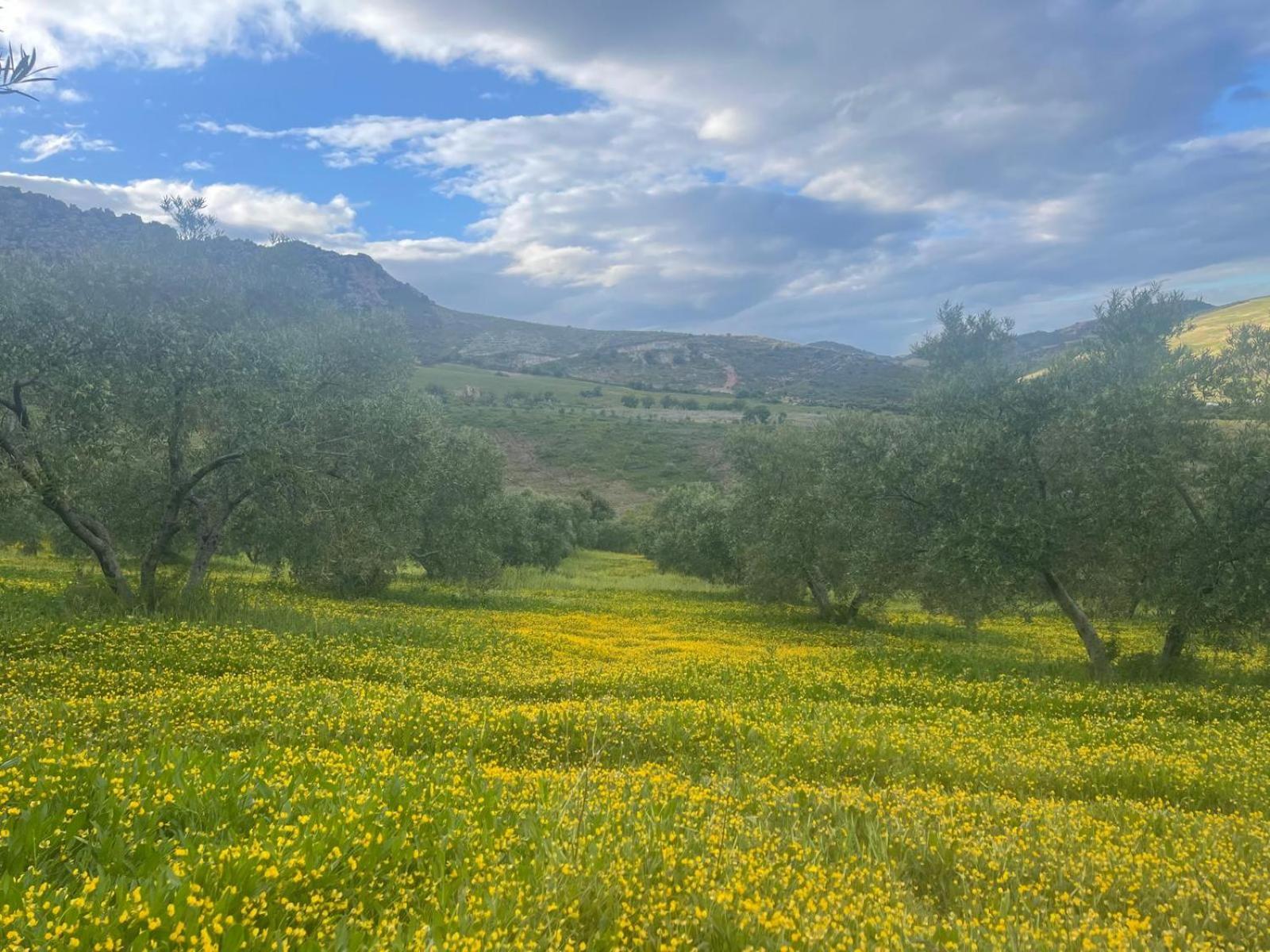 Finca Altozano - Private Pool - Unique Client Valle de Abdalagís Εξωτερικό φωτογραφία